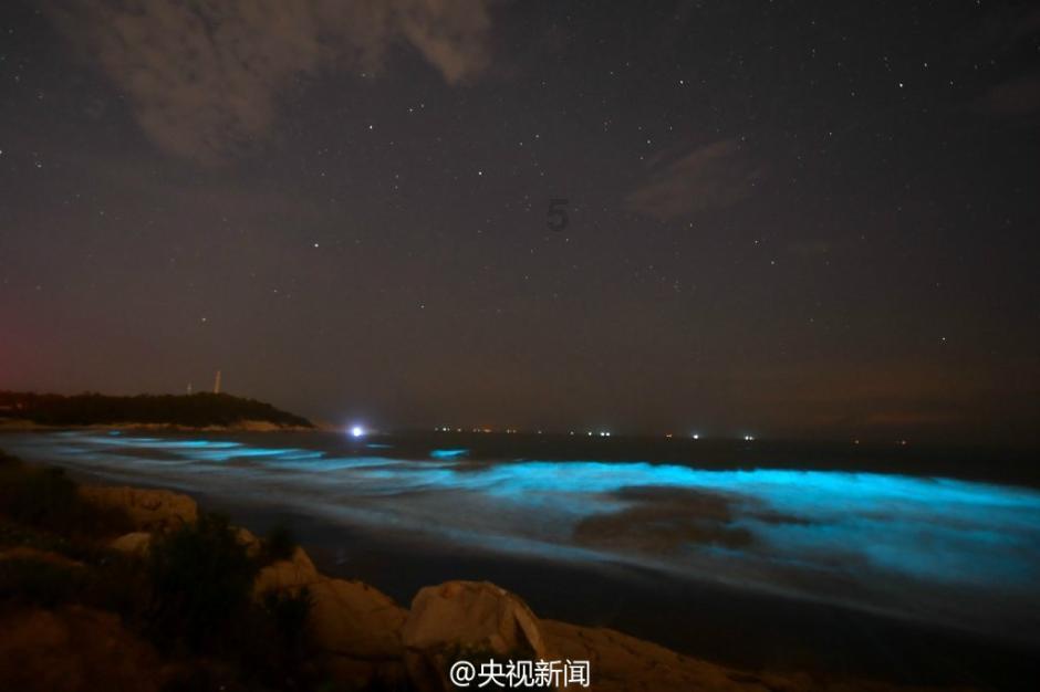 虫虫助手下载