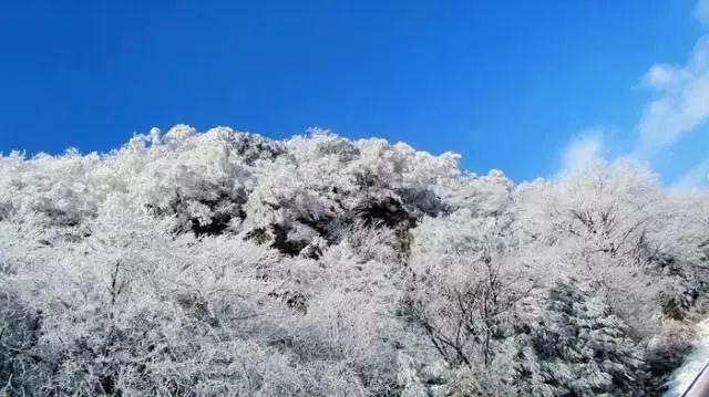月光影视