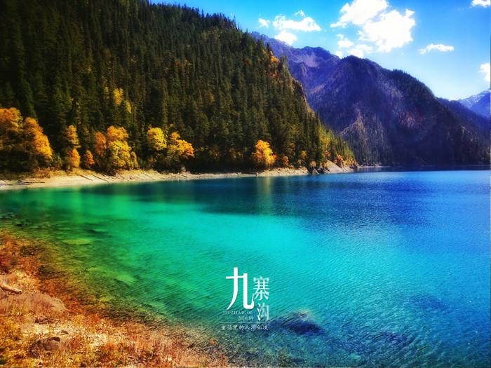 逃离泰莱森林
