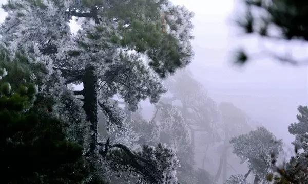 沪江开心词场