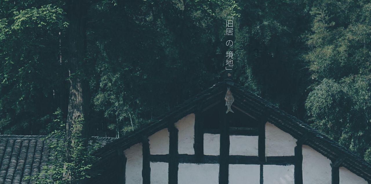 公子是女生