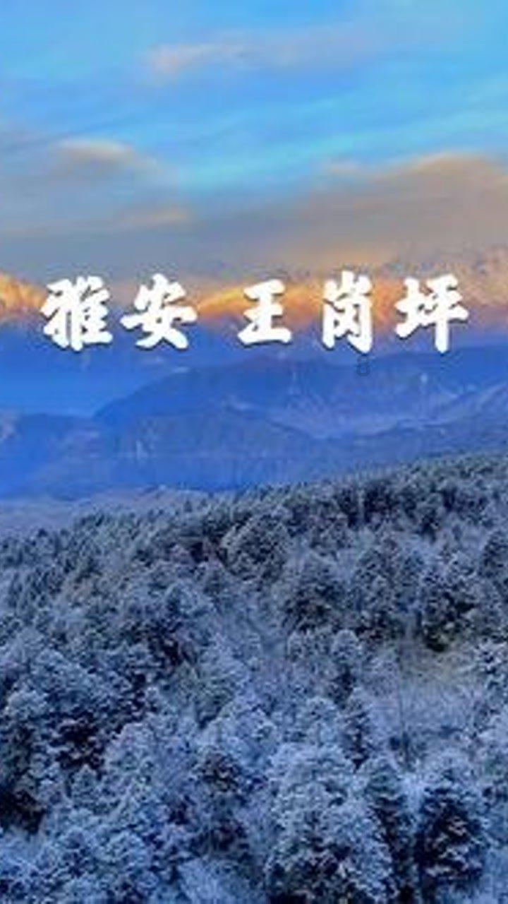 放置江湖乡试答案大全汇总-专业问答网站,为您解疑答惑
