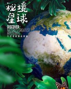 南禅寺内观报名游戏画面