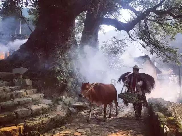 逃离地下古寺庙2