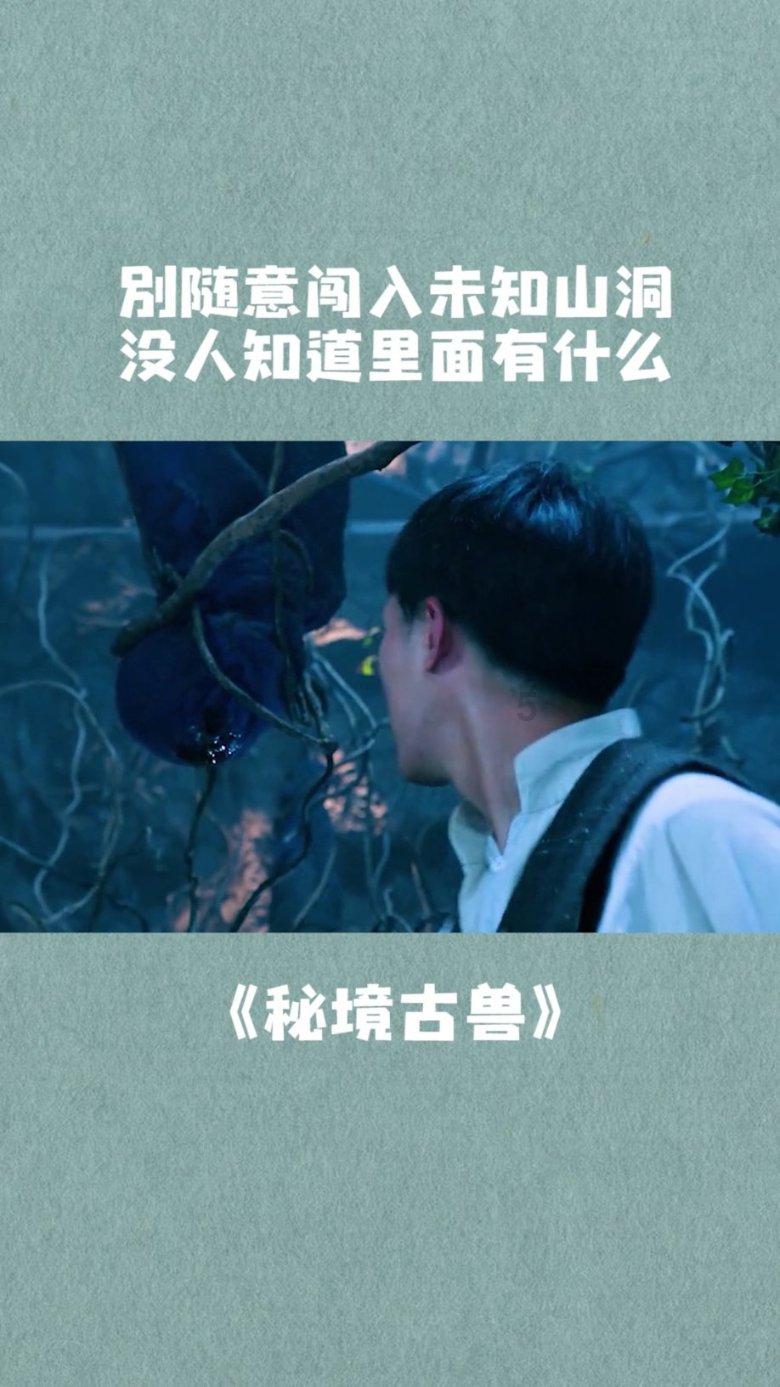云南镇雄山体滑坡灾害:全面开展救援工作