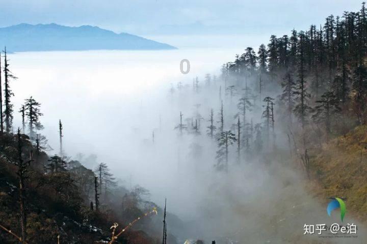 巫师3狂猎