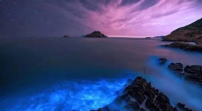 失落的星球3
