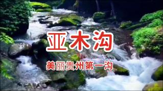 镇巴县供销联社 农资化肥送到村民家门口