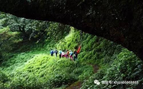 逗小猴开心系列212