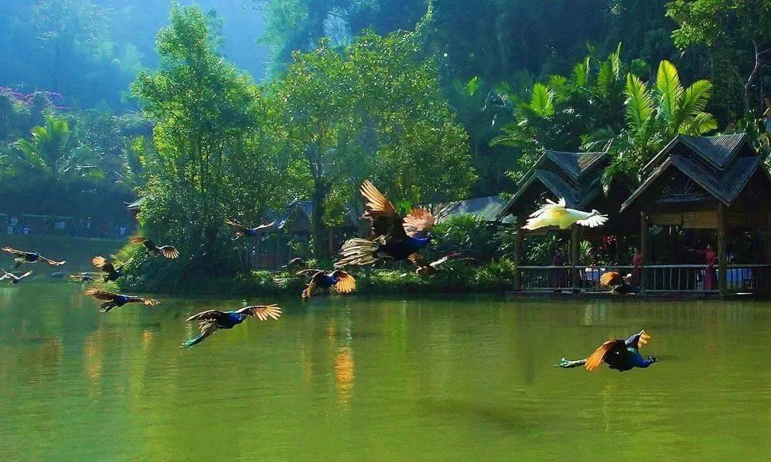 影视工厂