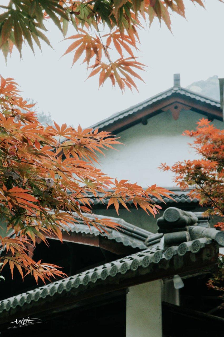 嘉日单词