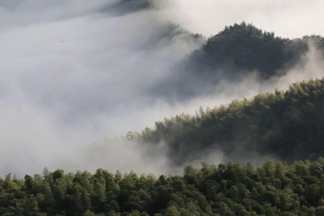 想找小时工到家来坐坐家务不知道一小时给她多少?-专业知识星球平台