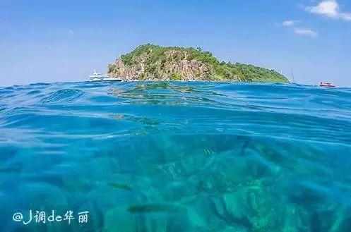 小猫钓鱼开船版最新版下载