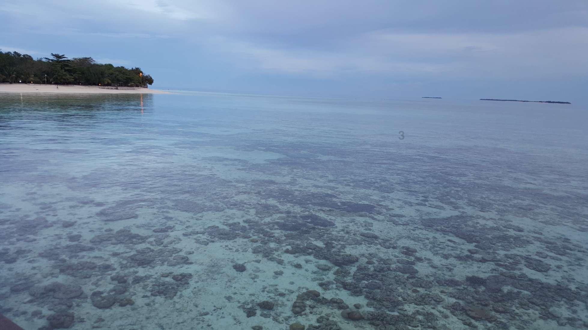 上海：策划好上海国际光影节，打造上海夜景旅游新IP