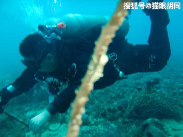 政企合作促消费 市场振兴惠民生丨11家企业累计向哈尔滨文旅消费市场投入补贴1.79亿元