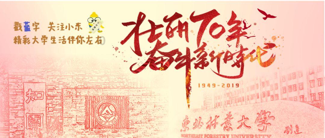 全民烧脑3去广告版