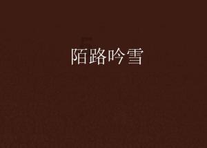校园追星变形记