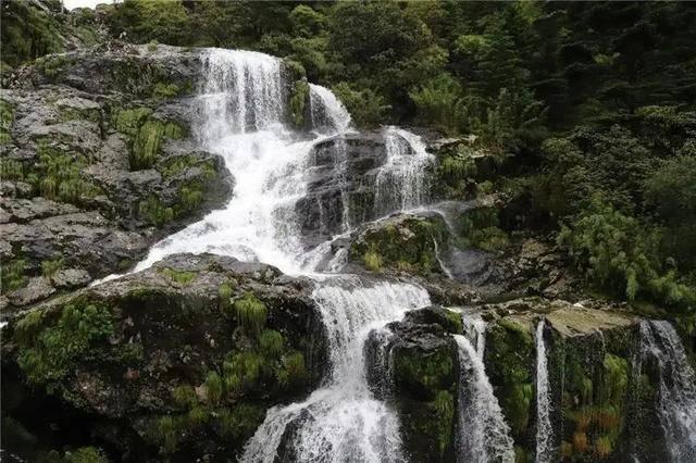 “动态清零”和经济发展并不对立，如何动态清零的基础上还发展经济？游戏画面