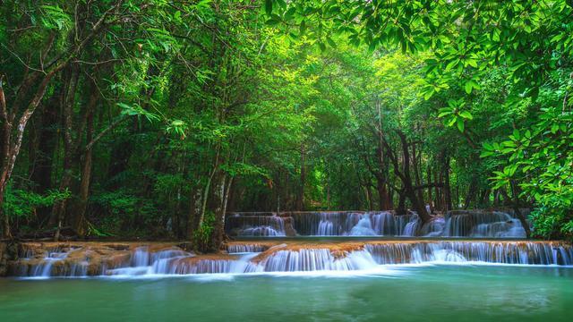 虫虫助手下载