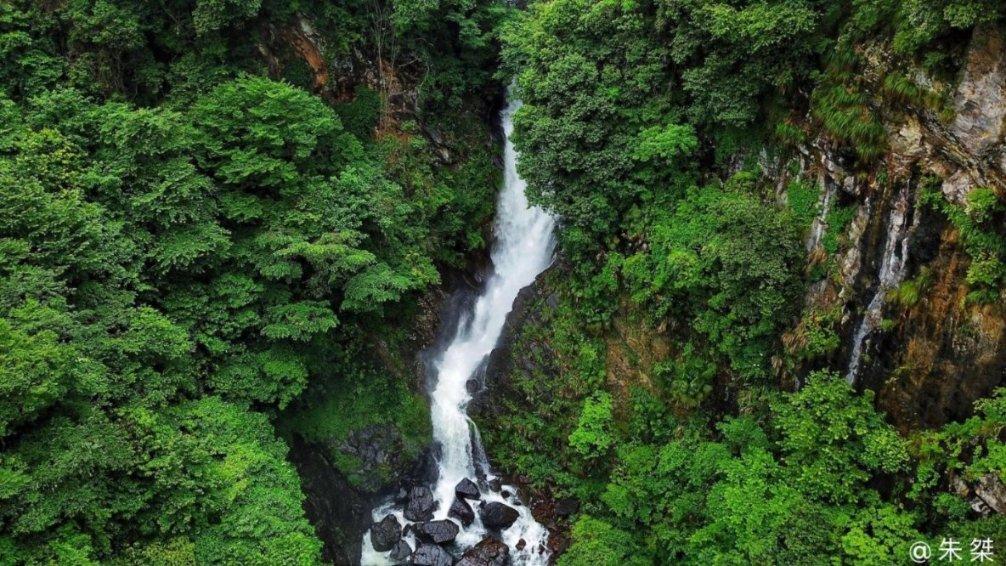 逃离水虎鱼湖