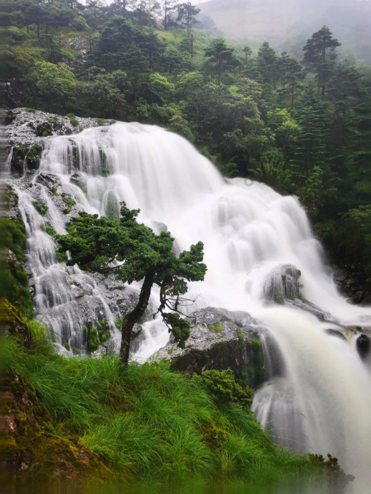 机械迷城