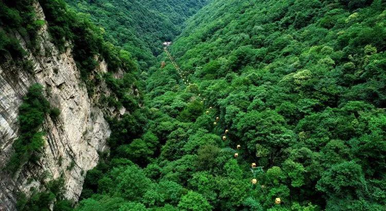 虫虫助手下载