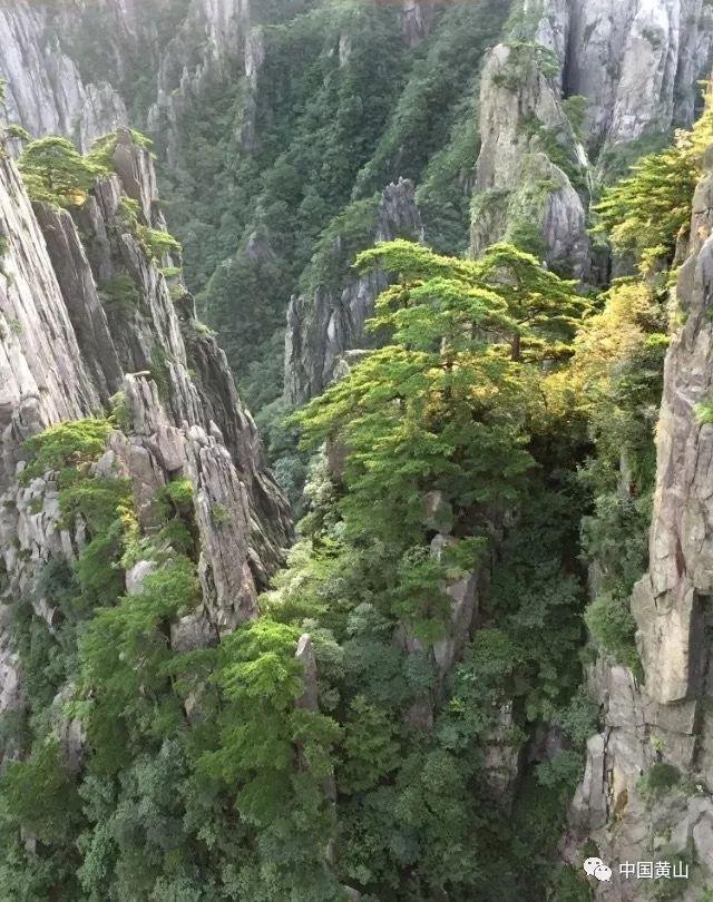 100名乡村教师获得“马云乡村教师奖”