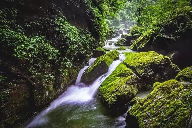 虫虫助手下载