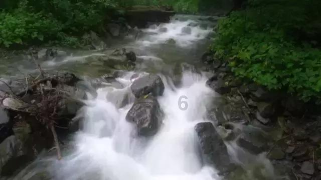 快刺水果