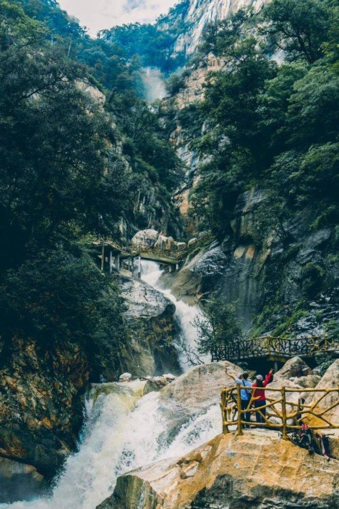 细胞分裂4