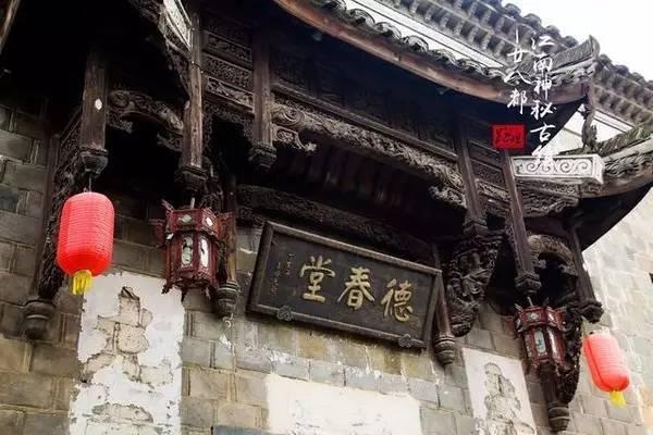 一张图让你戒猫358