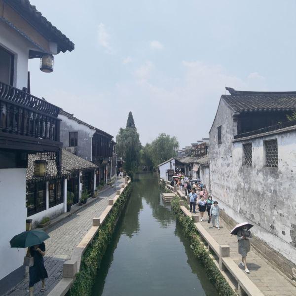 三亚沙滩现剧毒僧帽水母?官方辟谣:系蓝瓶僧帽水母 毒性较小