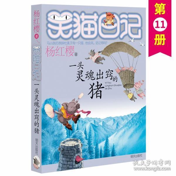 小猫钓鱼游戏龙王版有船