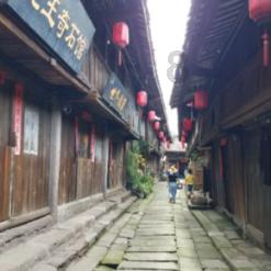动物帮帮忙保卫家园