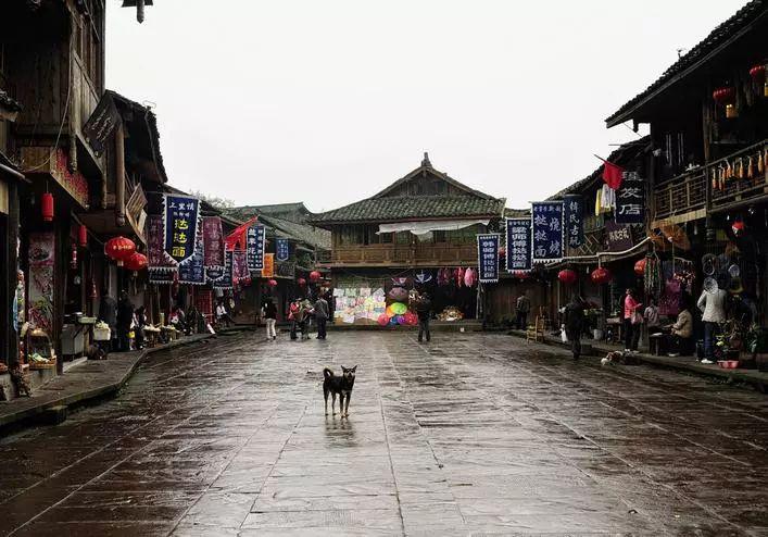 受困的忍者