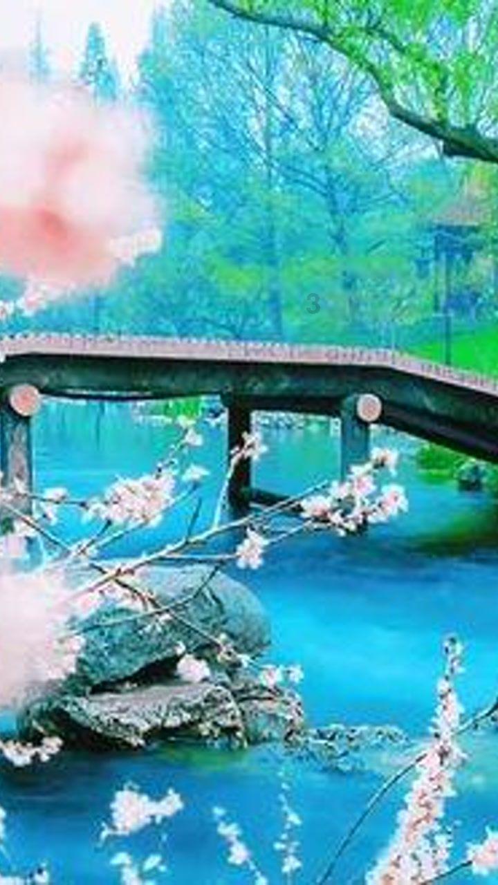 升空的泡泡2